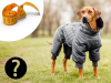 Měření # 4 - Jak správně vybrat obleček pro psa?