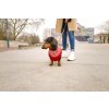 Obleček svetr rolák pro psy DUBLIN červený 35cm Zolux