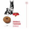 Royal Canin SHN MAXI STARTER MOTHER & BABYDOG 4 kg