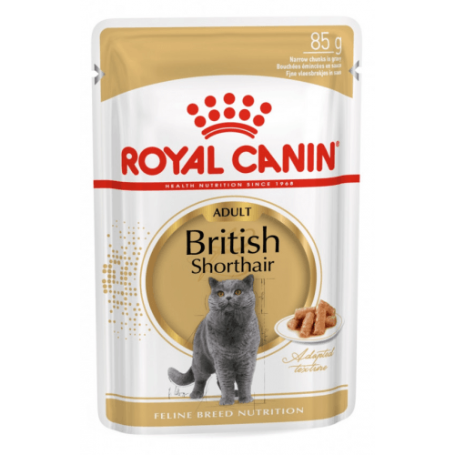 Royal Canin FBN BRITISH SHORTHAIR GRAVY kapsičky 12 x 85 g