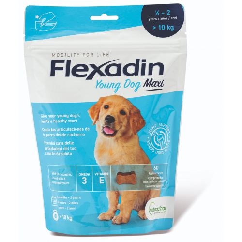 Flexadin Young Dog Maxi žvýkací 60tbl