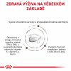 Royal Canin VHN CAT GASTROINTESTINAL 4 kg