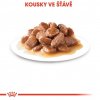 Royal Canin FHN INSTINCTIVE GRAVY kapsičky 12 x 85 g