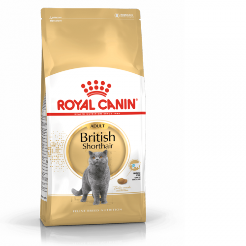 Royal Canin British Shorthair Adult 10kg