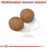Royal canin Maxi Adult 15kg + 4 KG ZDARMA