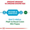 Royal Canin SHN MINI STARTER MOTHER & BABYDOG 1 kg