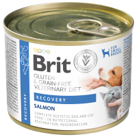 Brit VD Dog+Cat GF konz Recovery 200g