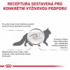 Royal Canin VHN CAT GASTROINTESTINAL 2 kg