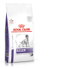 ROYAL CANIN VHN Dog Dental Medium/Large 6 kg