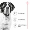 NEW Royal Canin SHN GIANT ADULT 15 kg