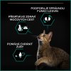 PRO PLAN CAT ADULT  STERILISED RENAL PLUS králík 10 kg