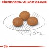 Royal Canin X-Small Adult 8+ 1,5kg