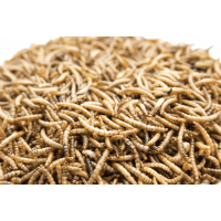 UGF sušený moučný červ 10kg