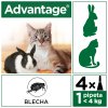 Advantage pro malé kočky a králíky 40mg 4x0,4ml