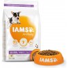 Iams Dog Puppy Small&Medium Chicken 3kg