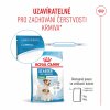 Royal Canin SHN Dog Mini Starter Mother&Babydog 1 kg
