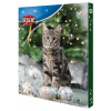 Adventní kalendář pro kočky, 30x34x3,5 cm TRIXIE