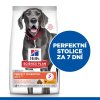 Hill's Can.Dry SP Perfect Digestion Large Breed 14kg