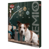 Adventní kalendář PREMIO pro psy, masové pochoutky, 30x34x3,5cm TRIXIE