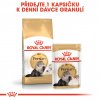 Royal Canin Persian Adult 10kg