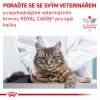 Royal Canin VHN CAT GASTROINTESTINAL 4 kg