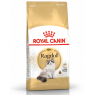 kategorie-rc-feline-plemena.png