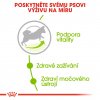 Royal Canin X-Small Adult 8+ 1,5kg