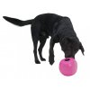Hračka pes BUSTER Food Cube fialová 12cm, L