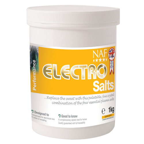 Electro Salts, elektrolyty v prášku při nadměrném pocení 1000g