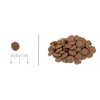 ACANA ADULT SMALL BREED RECIPE 6 kg