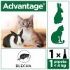 Advantage pro malé kočky a králíky 40mg 1x0,4ml