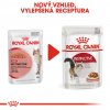 Royal Canin FHN INSTINCTIVE GRAVY kapsičky 12 x 85 g