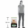 PRO PLAN CAT ADULT STERILISED RENAL PLUS losos 10 kg