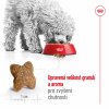 NEW Royal Canin SHN MINI ADULT 8 kg