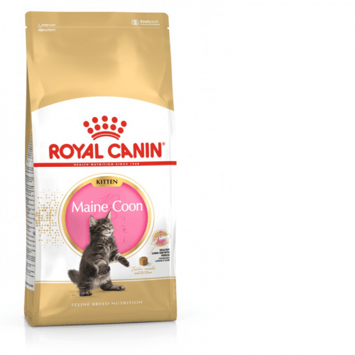 ROYAL CANIN BREED Maine Coon Kitten 2kg