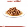 Royal Canin SHN MEDIUM PUPPY GRAVY kapsičky 10 x 140 g