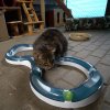 Hračka kočka Koulodráha horská s míčkem CATIT plast