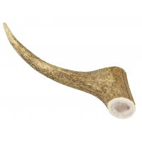 Marp Holistic - Jelení paroh celý XL (160 - 200g)