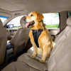 Kurgo® Bezpečnostní postroj pro psy s pásem do auta černý M