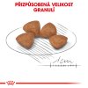 Royal Canin SHN X-SMALL PUPPY 500g