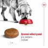 NEW Royal Canin SHN MAXI ADULT 5+ 15 kg + DÁREK ZDARMA