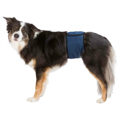 Břišní pás na podložky pro psa samce S 29-37 cm tmavě modrý