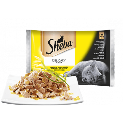 Sheba kapsa Delicacy drůbeží výběr v želé 4pack 4x85g