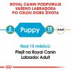 ROYAL CANIN BHN LABRADOR PUPPY 12 kg