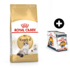 ROYAL CANIN BREED Ragdoll Adult 10kg