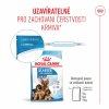 Royal Canin SHN MAXI STARTER MOTHER & BABYDOG 4 kg