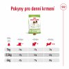 NEW Royal Canin SHN X-SMALL ADULT 8+ 500 g