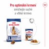 NEW Royal Canin SHN MAXI ADULT 5+ 15 kg + DÁREK ZDARMA