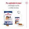 NEW Royal Canin SHN MAXI ADULT 4 kg