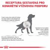Royal Canin VHN DOG HEPATIC 12 kg